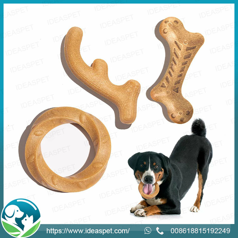 Durable Dog Molar Stick Chew Bones | Clean Teeth & Fresh Breath | Wholesale Supplier
